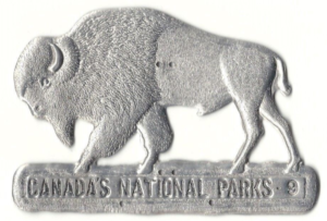 1929 National Parks Buffalo (front)